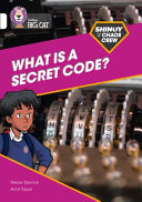 What Is a Secret Code? cover