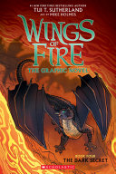 The Dark Secret (Graphic Novel) cover