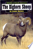 The Bighorn Sheep cover