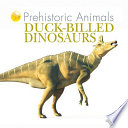 Dinosaurs with Beaks and Bills cover