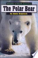 The Polar Bear cover