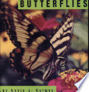 Butterflies cover