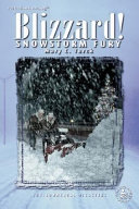 Blizzards! Snowstorm Fury cover