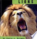 Lions cover
