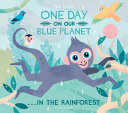 One Day on our Blue Planet... In the Rainforest cover