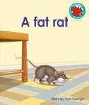 A Fat Rat cover