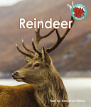 Reindeer cover
