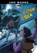 Storm on the Sea cover