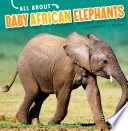 Baby African Elephants cover