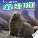 Baby Sea Lions cover