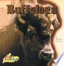 Buffaloes cover
