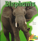 Elephants cover