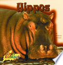 Hippos cover