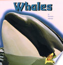 Whales cover