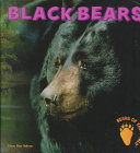Black Bears cover