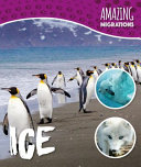 Ice cover