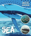 Sea cover