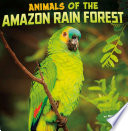 Animals of the Amazon Rainforest cover