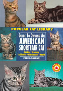Guide to Owning an American Shorthair Cat cover