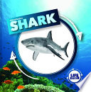 Life Cycle of a Shark cover