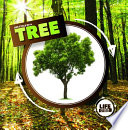 Life Cycle of a Tree cover