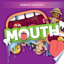 Mouth cover