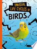 Unusual Life Cycles of Birds cover