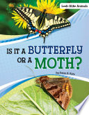 Is It a Butterfly or a Moth? cover
