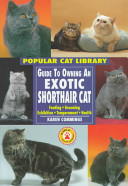 Guide to Owning an Exotic Shorthair Cat cover