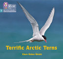 Terrific Arctic Terns cover