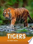 Tigers cover