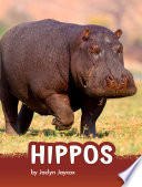 Hippos cover