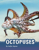 Octopuses cover