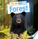 Day and Night in the Forest cover