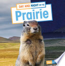 Day and Night on the Prairie cover
