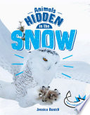 Animals Hidden in the Snow cover
