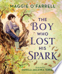 The Boy Who Lost His Spark cover