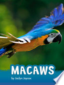 Macaws cover