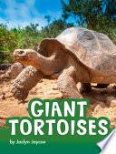 Giant Tortoises cover