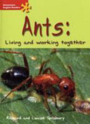 Ants cover