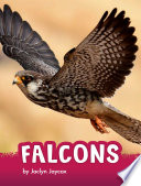 Falcons cover