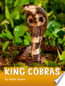 King Cobras cover
