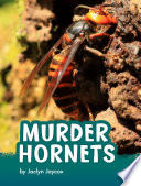 Murder Hornets cover