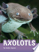 Axolotls cover