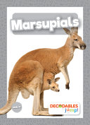 Marsupials cover