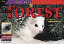 In the Forest cover