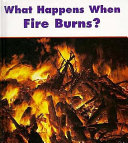 What Happens When Fire Burns? cover