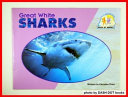 Great White Sharks cover