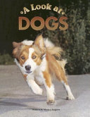 A Look at Dogs cover