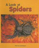 A Look at Spiders cover
